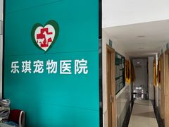 -乐琪宠物医院·犬猫专科·骨外科·急重症