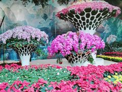 -花之城