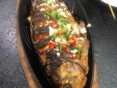 -老黑板筋(顺义总店)