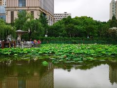 -黄兴公园