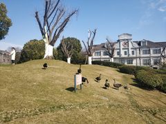 -南通濠河风景名胜区