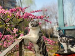 -炼呗运动康复·健身工作室(紫竹桥店)