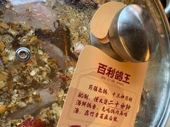 -百利鸽王(紫薇路店)