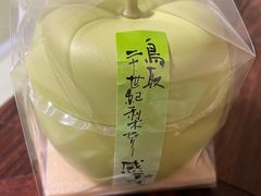 -鳥取砂丘会館
