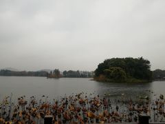 -上海市保健医疗中心