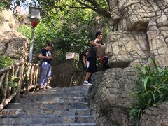 -老幺泉水鸡