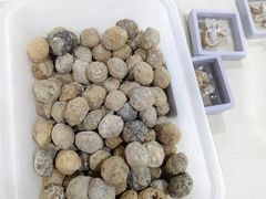 -房山世界地质公园博物馆