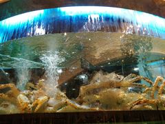 -金翠皇宫粤菜·点心·海鲜(科技园店)