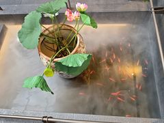 -单家老院·院子里的青岛菜(沙子口店)