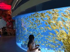 -海合安成都极地海洋公园