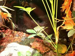 -上海海洋水族馆