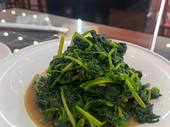 -陈记菜馆·非遗淮扬菜(东关街教场店)