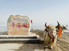 门面-青海湖国家重点风景名胜区
