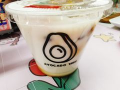 -油梨树 AVOCADO TREE(亮马桥店)