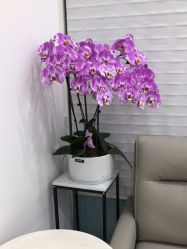 -和颜一美轻医美连锁