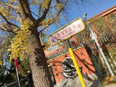 -三里屯东五街银杏大道