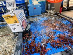 -盒马鲜生(双清路店)