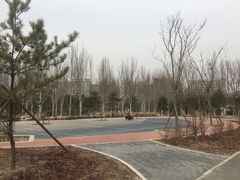 -回龙观体育文化公园