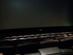 -英皇电影城(英皇集团中心IMAX店)