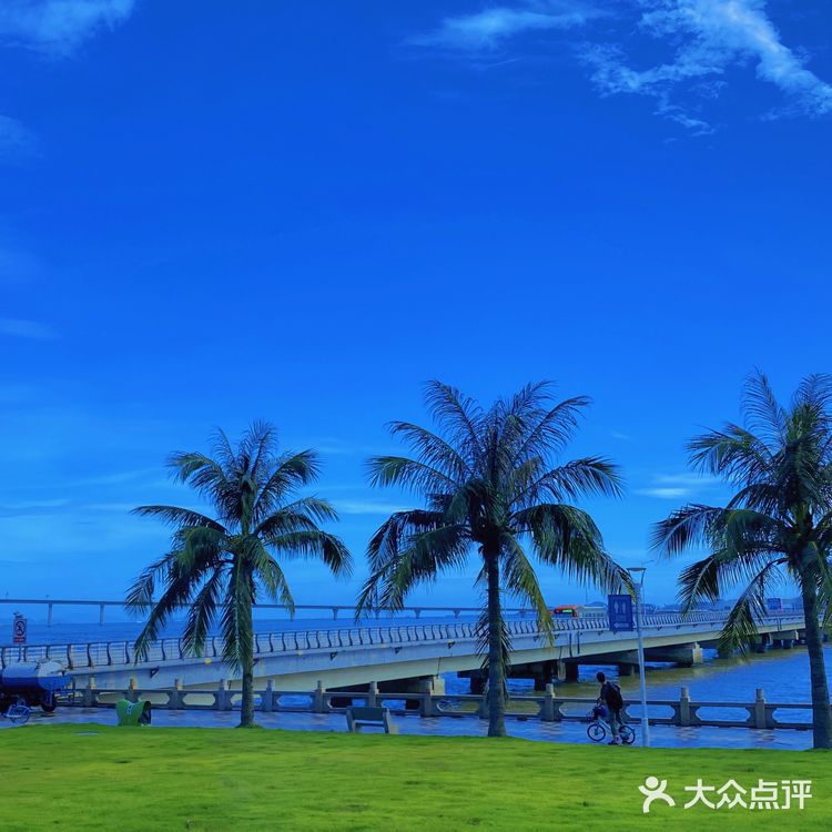 珠海观光巴士