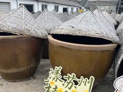 -苏州市吴中区光福窑上花果蜜饯厂