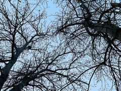 -伊隆斋(什刹海店)