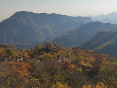 -大岭沟猕猴桃谷风景区