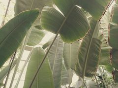 -龙达温泉生态城