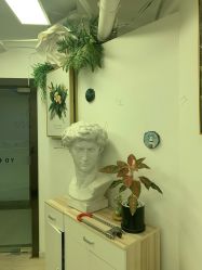 -杨丹国际美学肌研所