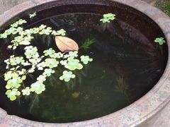 -庆安会馆
