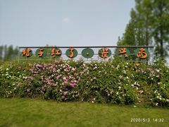 -前小桔亲子创意农场·草莓采摘·露营烧烤