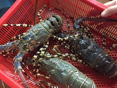 -班赞海鲜市场胖阿姨加工点