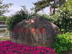 -鹅湖玫瑰文化园
