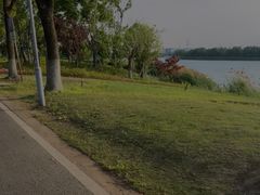 -漕湖湿地公园