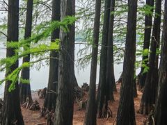 -东湖落雁景区