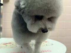 -FAELING PETS美天灵宠物(富力广场店)