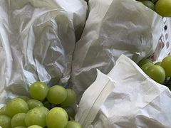 -马陆小张葡萄园农家乐