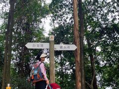 -火炉山森林公园