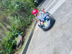 -圣淘沙天际线斜坡滑车