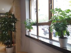 -白玉兰酒店(上海田子坊马当路地铁站店)