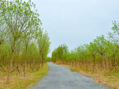 -天津东丽湖风景区