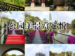 -南汇桃花村