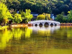 -黑龙潭风景区