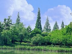 -两河城市森林公园