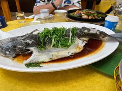 蒸皖鱼-成惠食府(赤岗店)