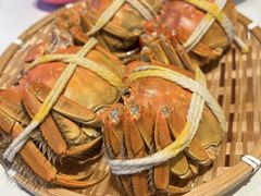 -丫丫蟹庄·苏式园林农家乐·阳澄湖大闸蟹(阳澄湖莲花岛店)