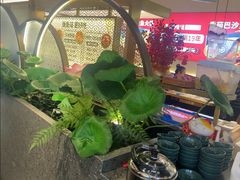 -新辣道鱼火锅(龙旗广场店)