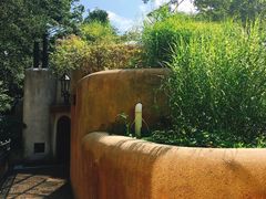 -三鹰之森吉卜力美术馆