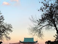 -青龙湖公园