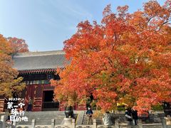 -香山公园